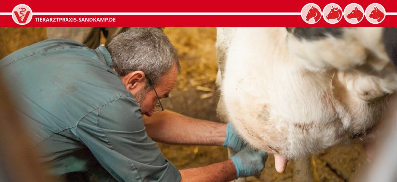 Milchlabor | Tierarztpraxis am Sandkamp, Bad Oldesloe